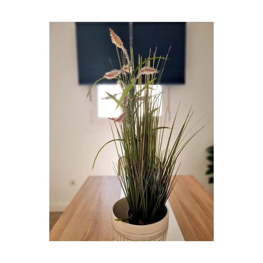Apartamento Con Sol De Paz Torremolinos Apartment